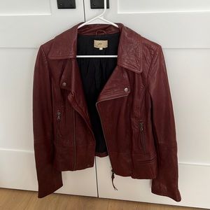 June Maroon leather jacket